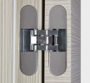 Concealed hinges